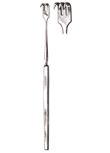 2 sharp prongs 6