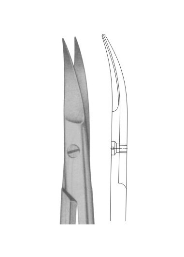 KELLY Size: 175 mmKELLY Size: 175 mm