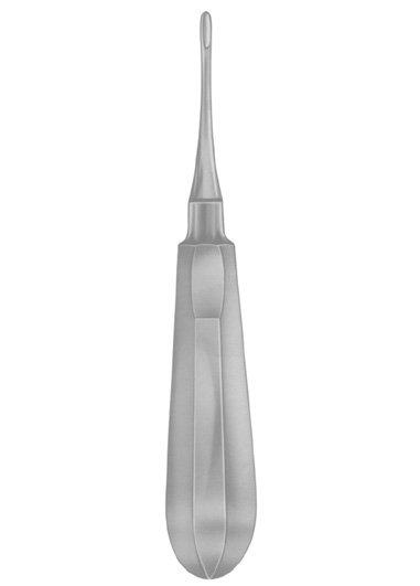 IS-APICAL