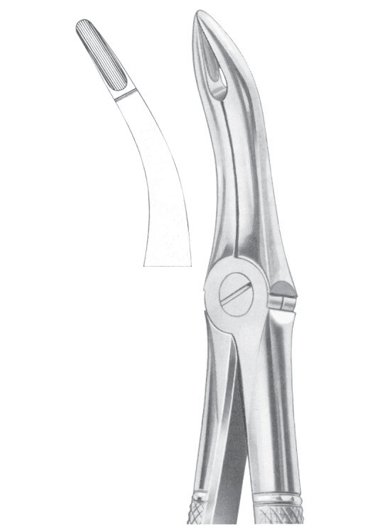 Fig. 48 lower roots