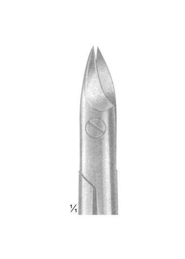LITTAUER Size: 135 mm
