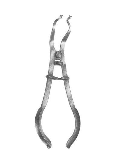 IVORY 170 mm